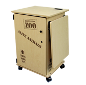 remote and classroom learning for kindergarten