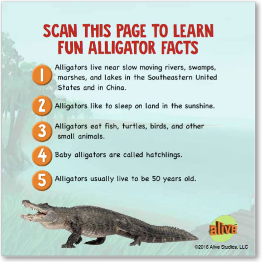 augmented reality childrens storybook