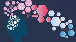 brain based education practices