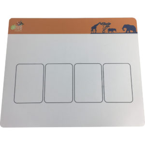 supplemental reading program for at risk students