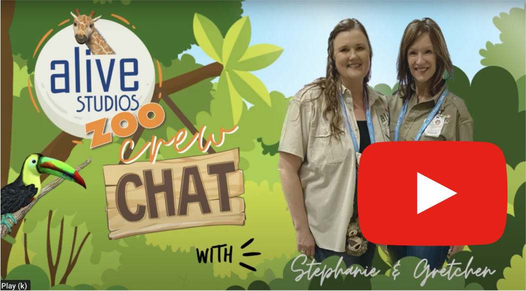 common issues facing early education