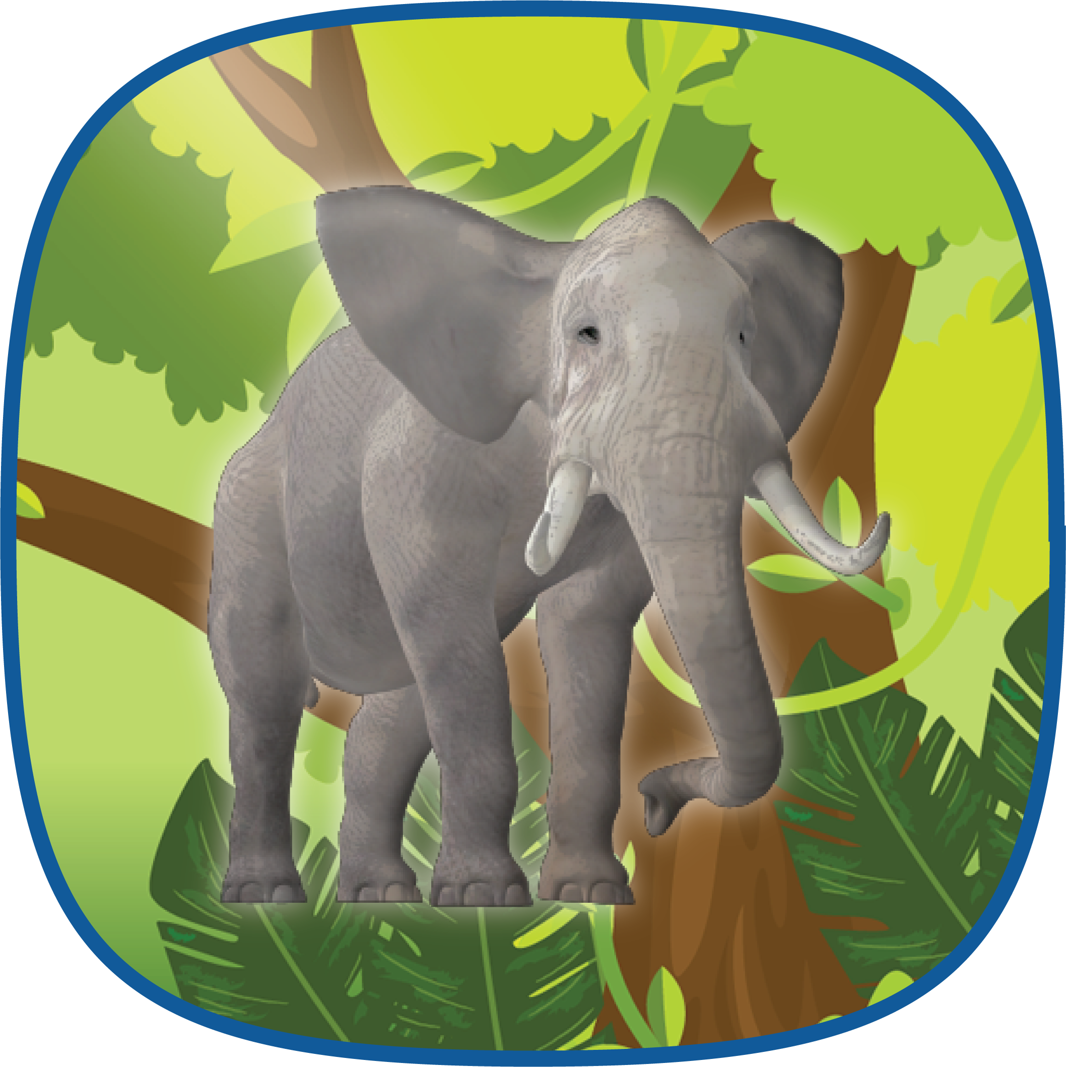 Click for Animal / Habitat Fact Sheets