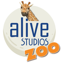 alive studios zoo for early literacy student engagement