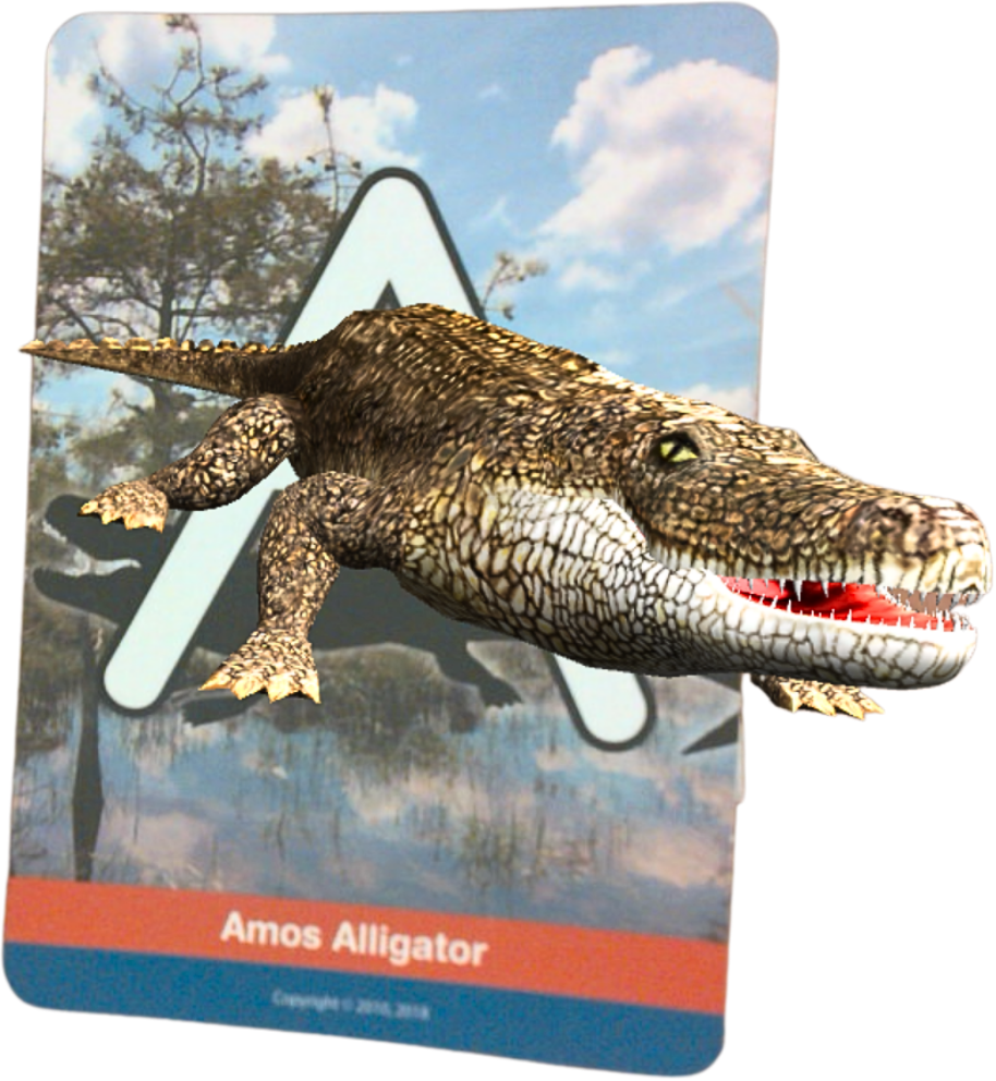 Amos Alligator Card